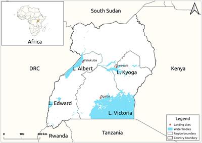 Identification of Antimicrobial Peptides Isolated From the Skin Mucus of African Catfish, Clarias gariepinus (Burchell, 1822)